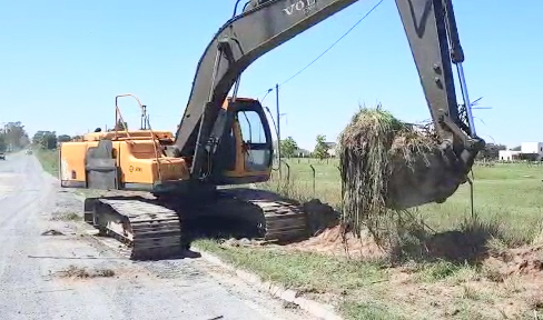 El Municipio continúa trabajando para mitigar la presencia del barigüí