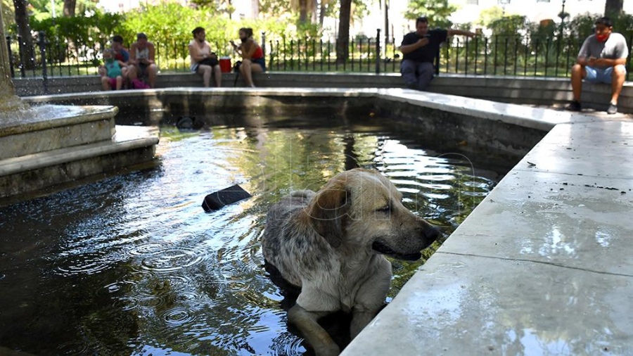 ola de calor 2