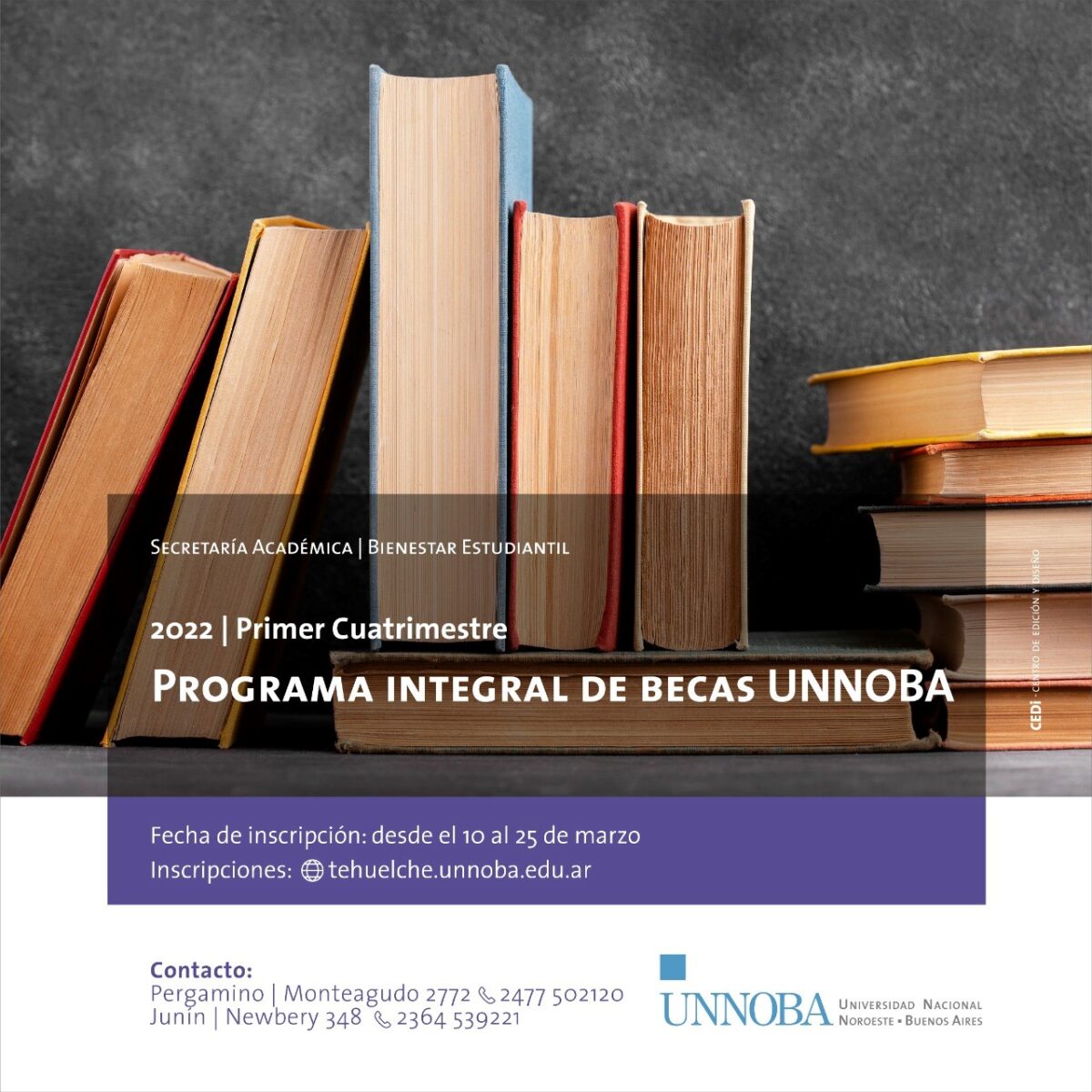 becas unnoba scaled