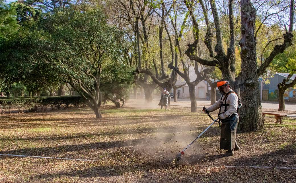 El Municipio realizo un operativo de mantenimiento en Morse 3