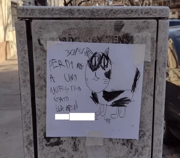 Un nene hizo dibujos a mano para recuperar a su gato perdido 1 gato perdido