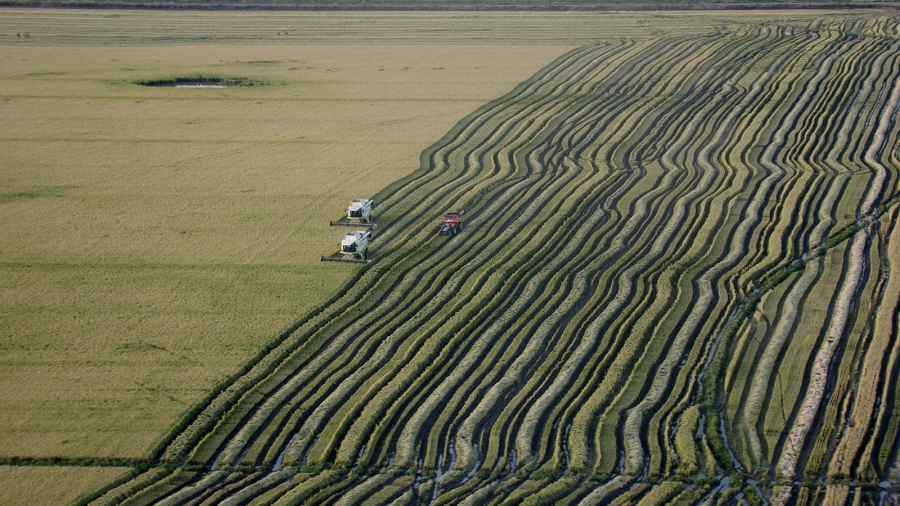 agricultura