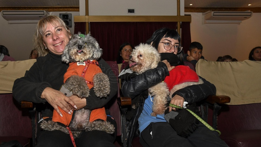 cine para perros