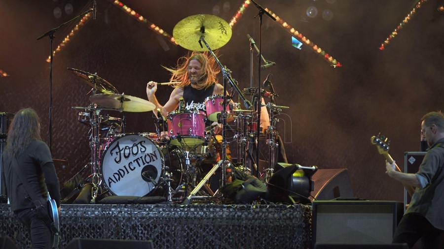 Taylor Hawkins