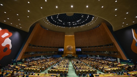 asamblea ONU