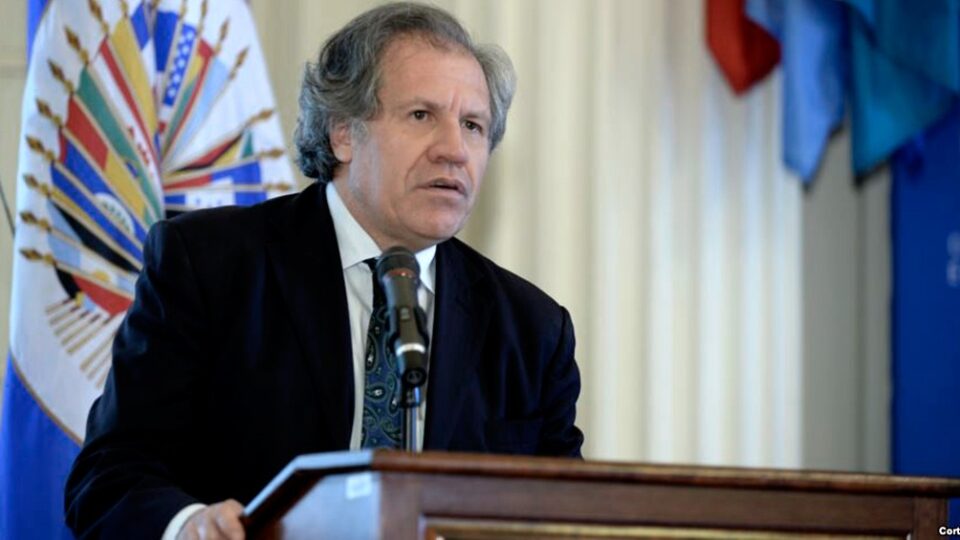 Luis Almagro scaled