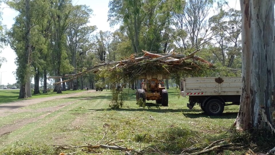 Trabajos tras el temporal scaled