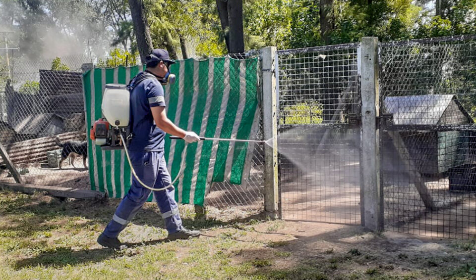 Zoonosis Tareas en refugio de animales scaled