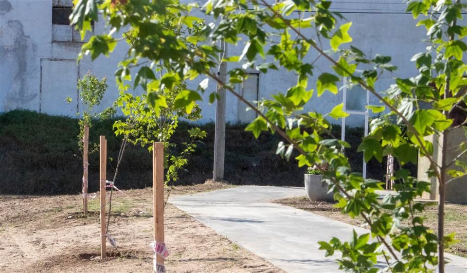 Donacion de plantas al Municipio scaled