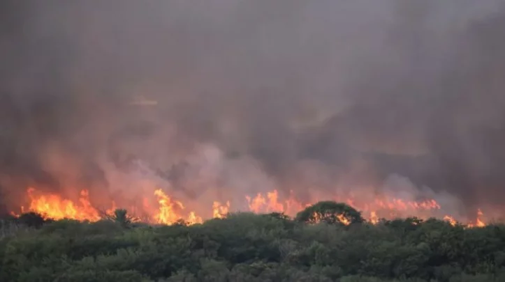 incendios costanera sur