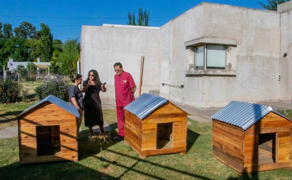 Zoonosis Entrega de caniles a proteccionistas scaled