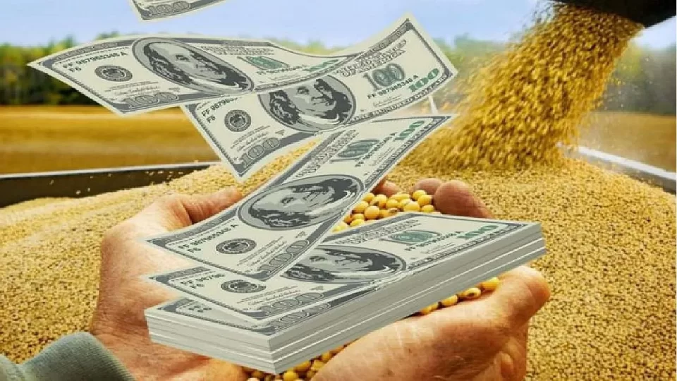 dolar agro scaled