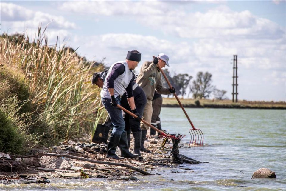 tareas de limpieza a la vera del rio salado 4 scaled