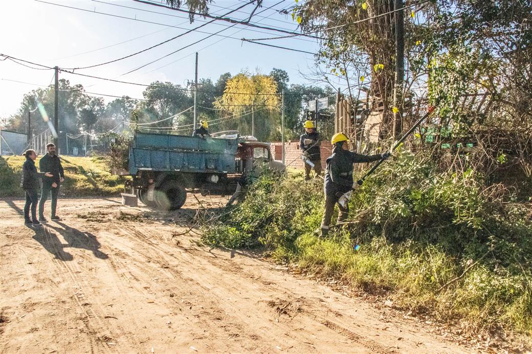 poda en barrio emilio mitre 1