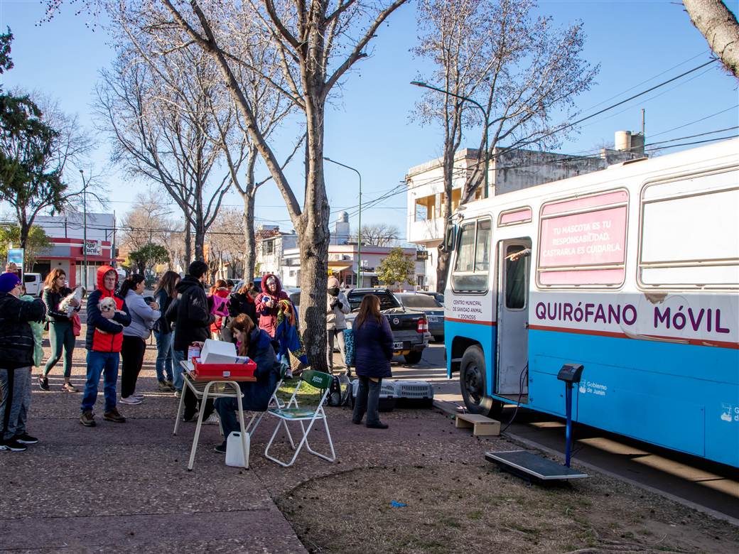 castraciones en barrio belgrano 1