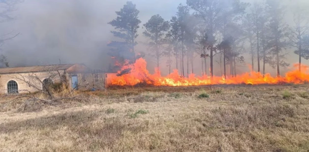 cordoba incendios