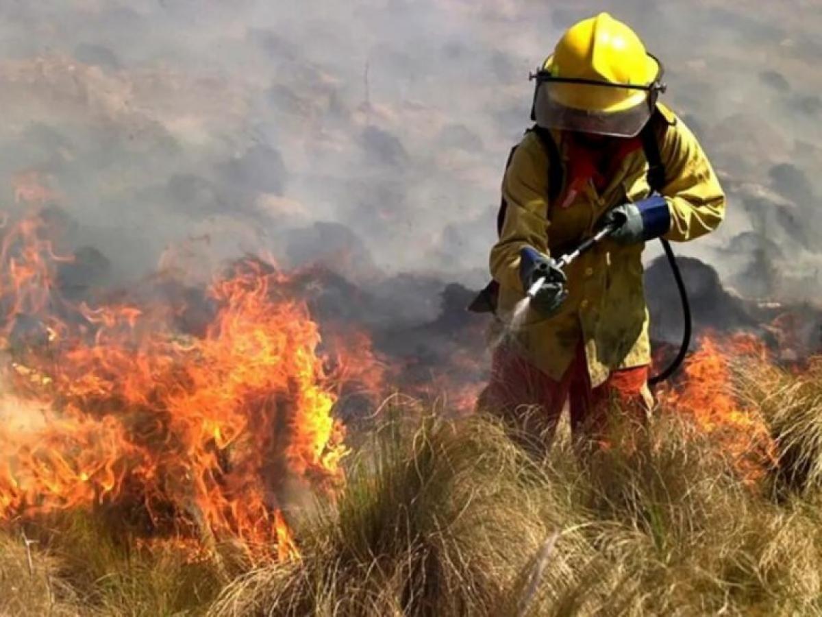 cordoba incendios