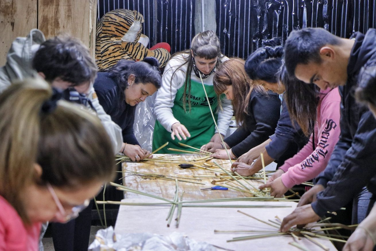 medio ambiente taller sobre uso de totoras 3 scaled