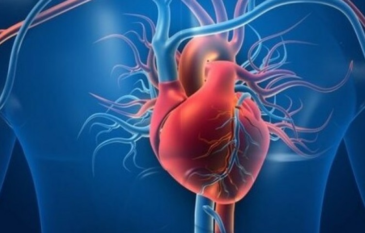 cardiologia