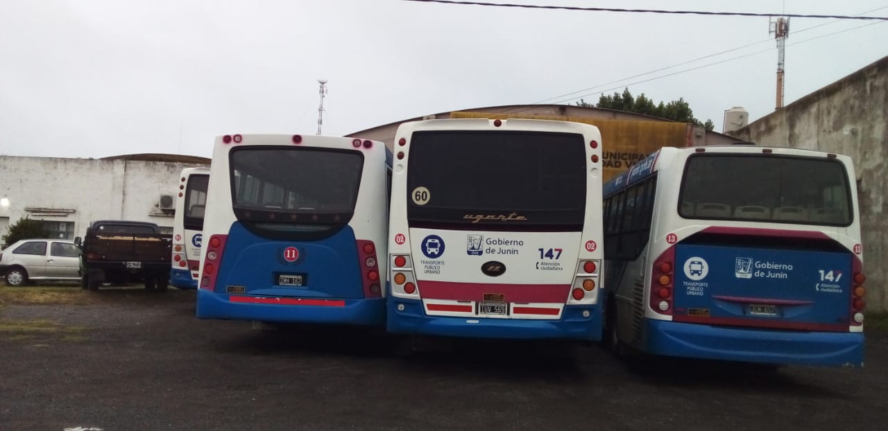 colectivos en la base 1