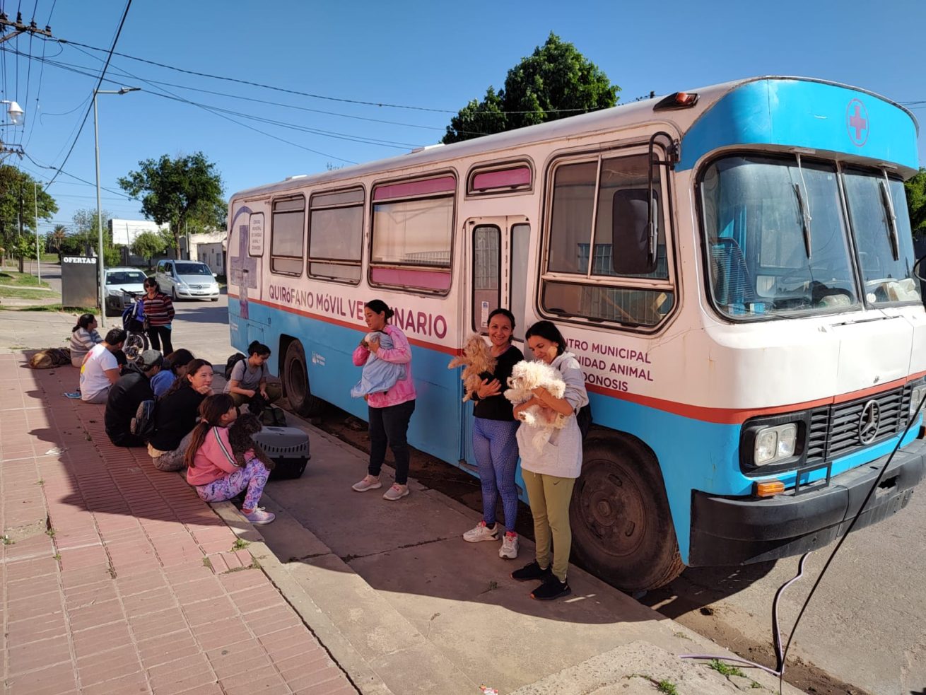 bromatologia operativos de castracion y vacunacion en los barrios 2 scaled