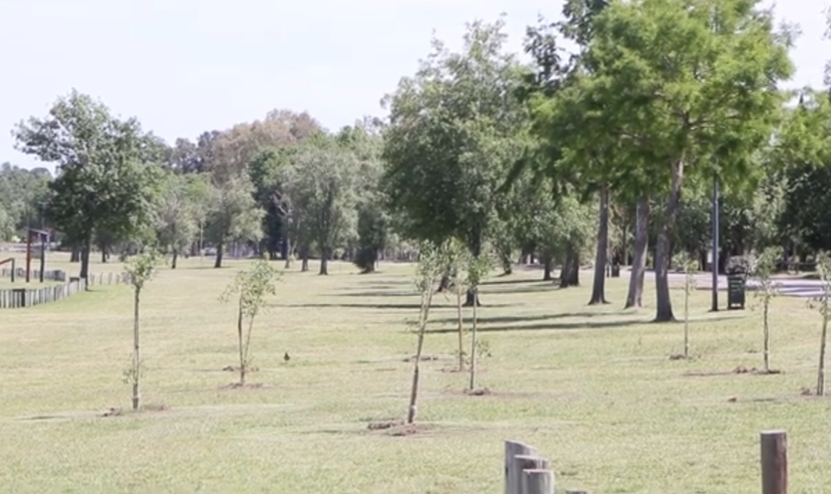 parque natural laguna de gomez 5