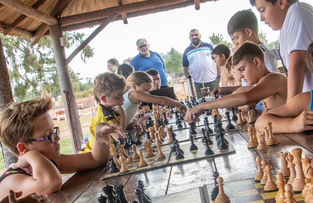 escuela municipal de ajedrez