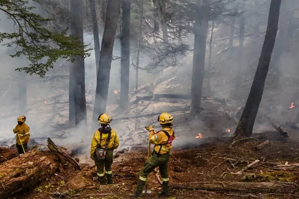 chubut incendios