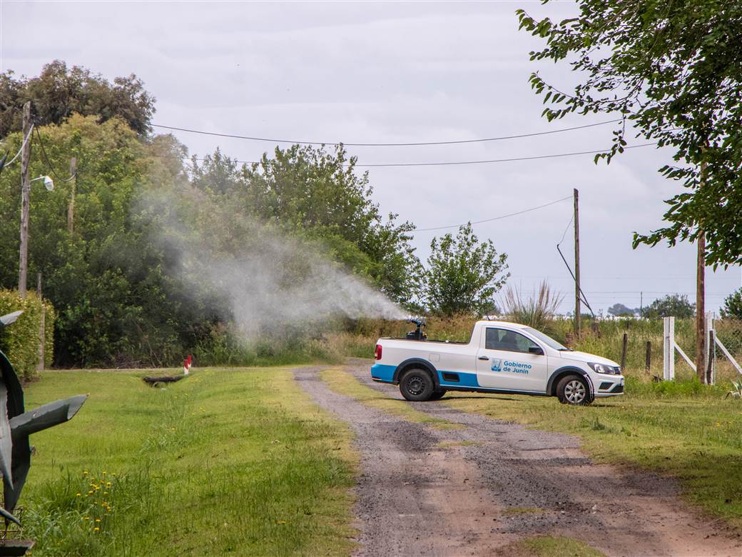 dengue control y fumigacion 1