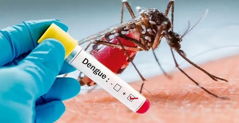 dengue