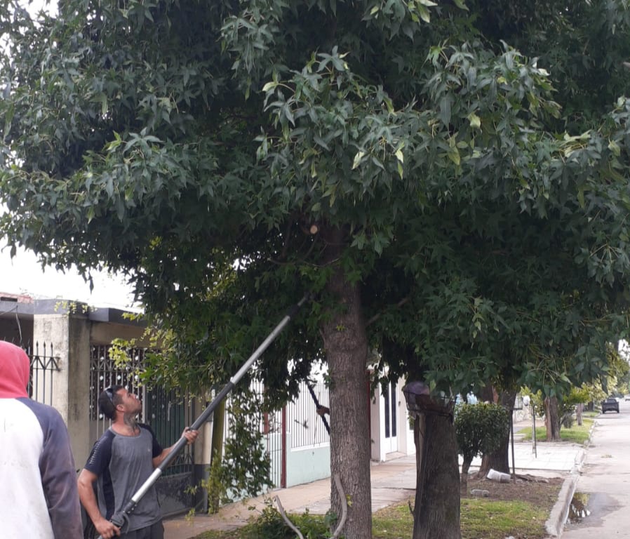 espacios publicos trabajos tras la tormenta 3