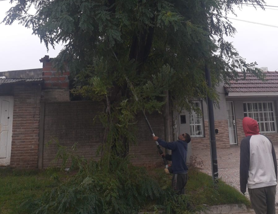 espacios publicos trabajos tras la tormenta 8