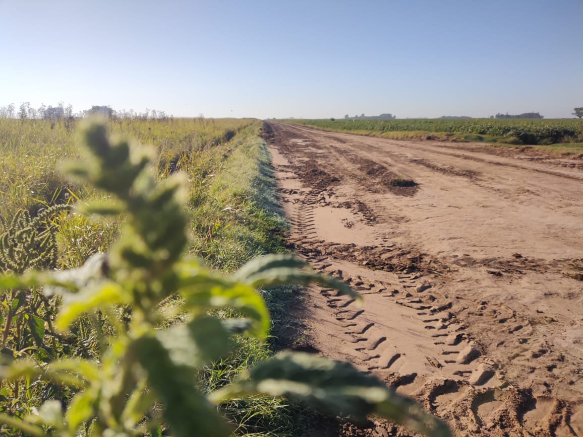 trabajos en caminos rurales 2