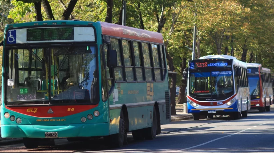 colectivos