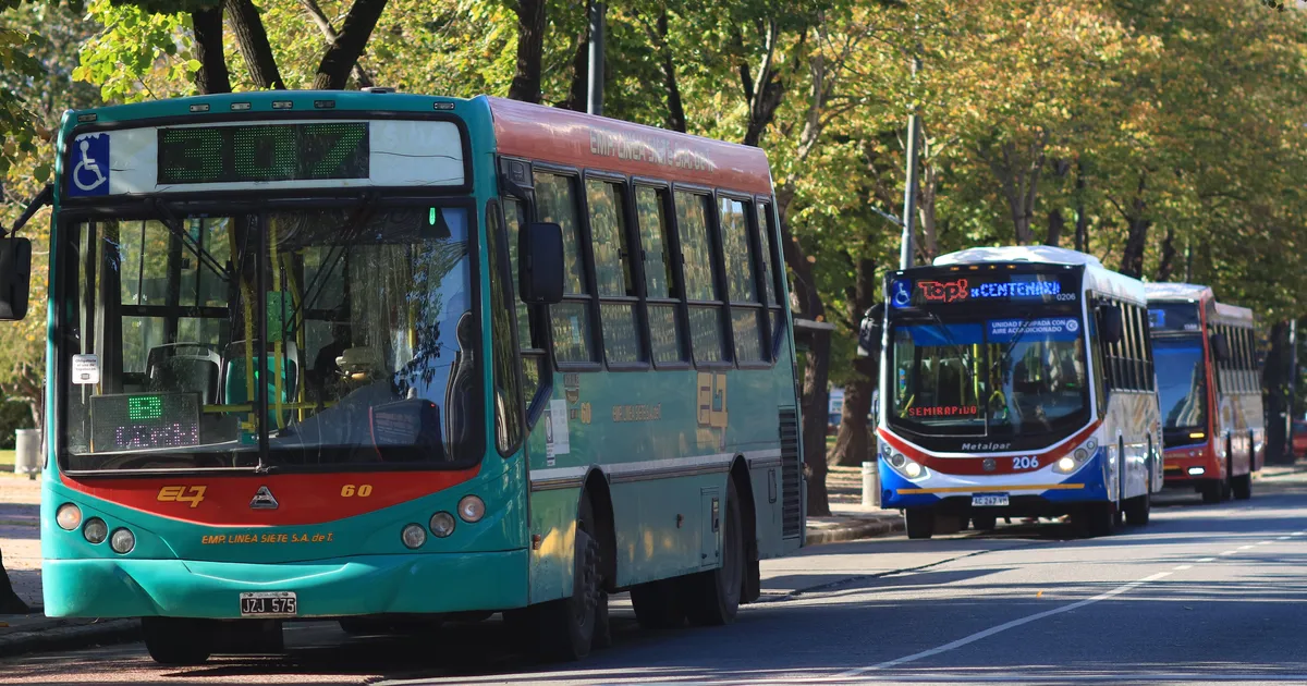 colectivos