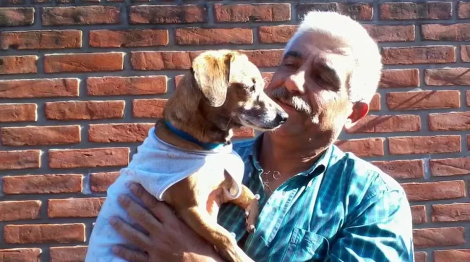 Arrestaron a un hombre por el asesinato del empresario en San Isidro 1 empresario de san isidro