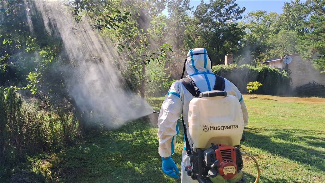 salud operativos prevencion dengue 2