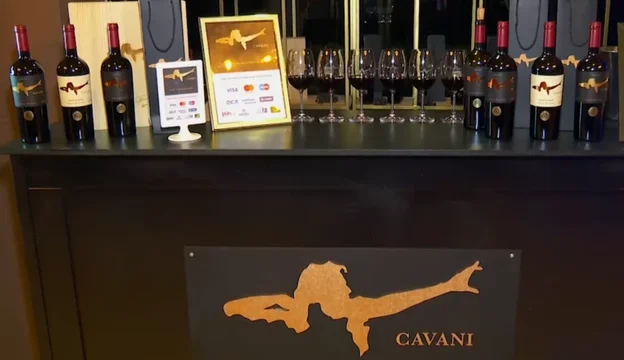 cavani wines