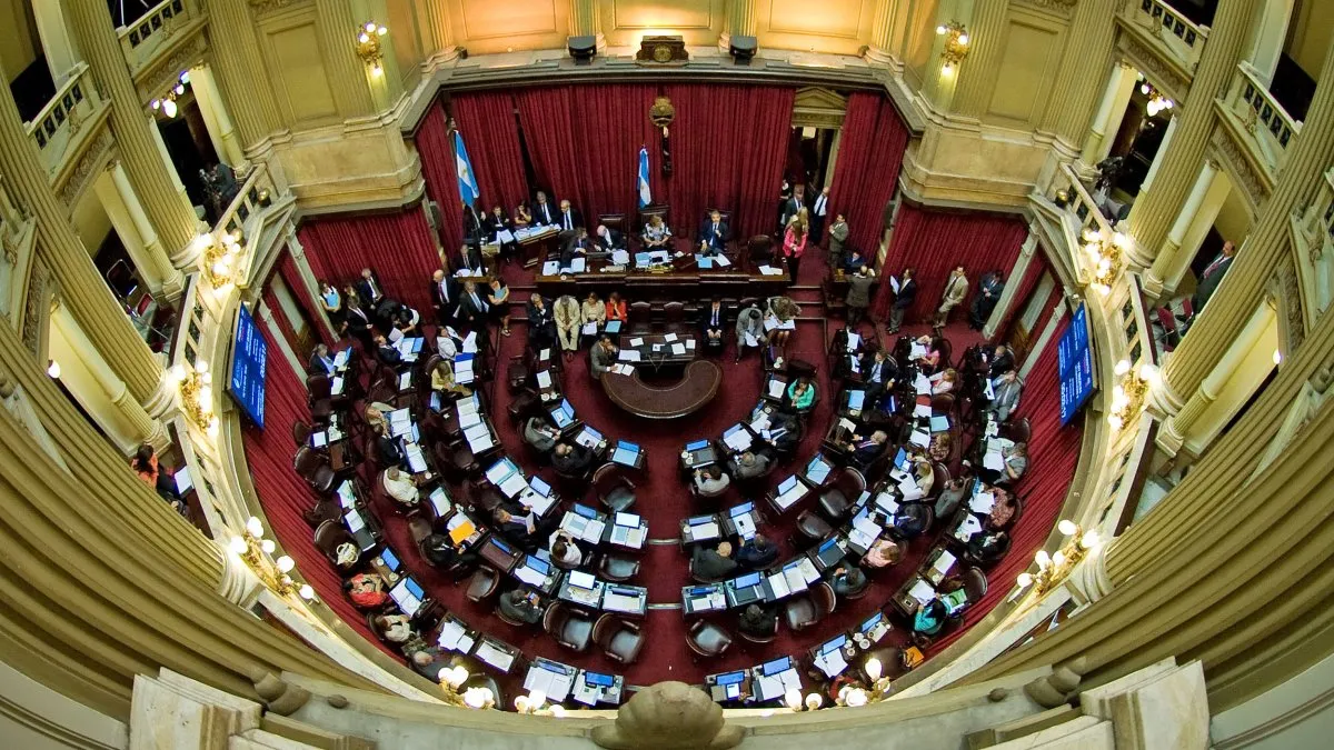 senado