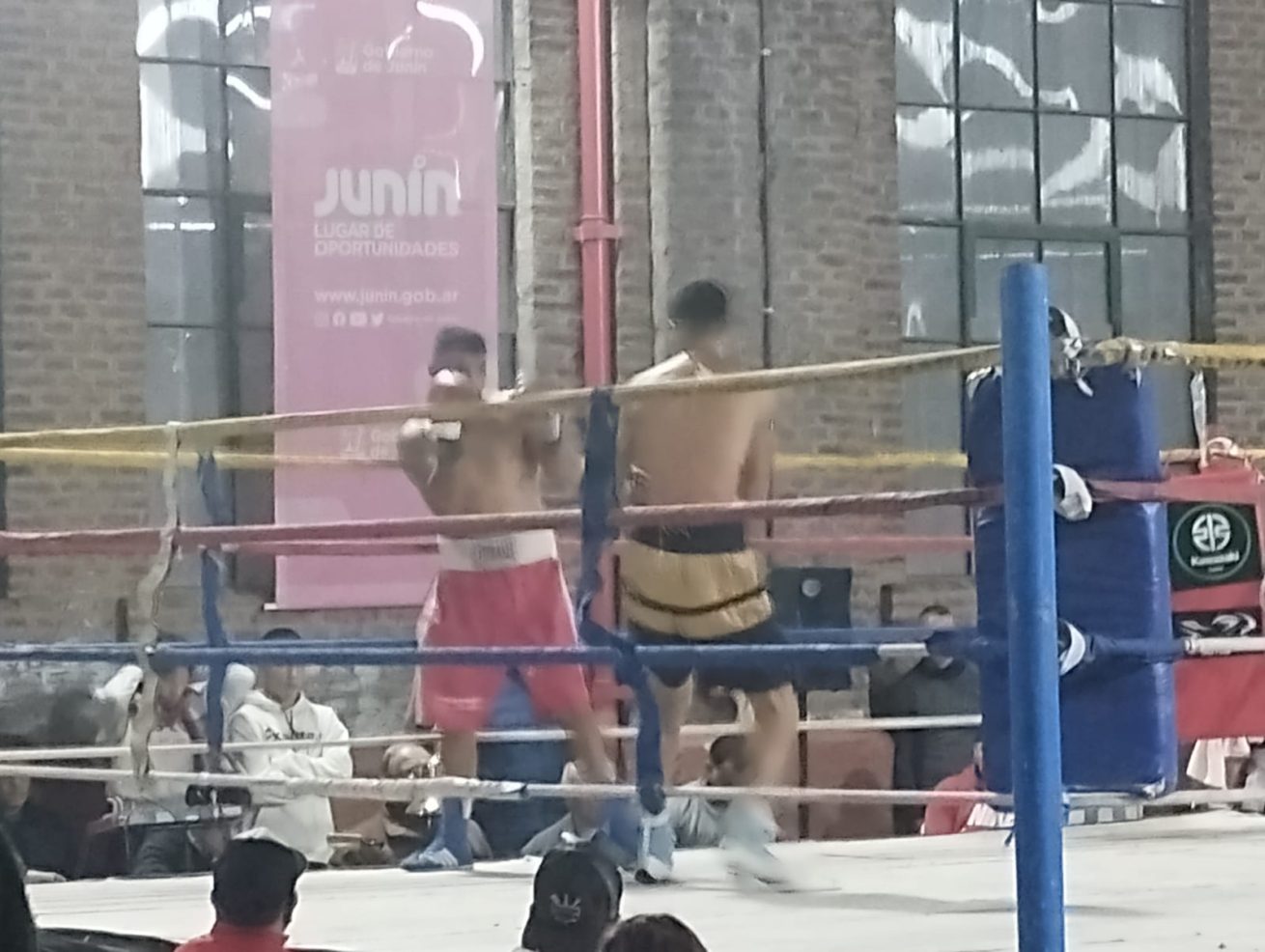 deportes boxeo 4 scaled