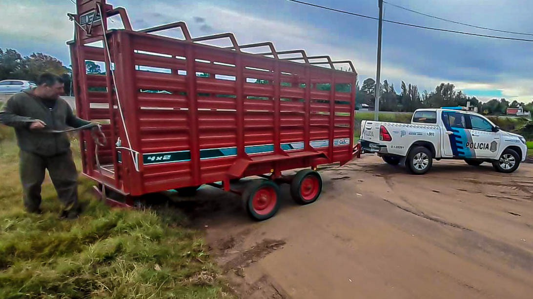 seguridad compra carro para caballos 2