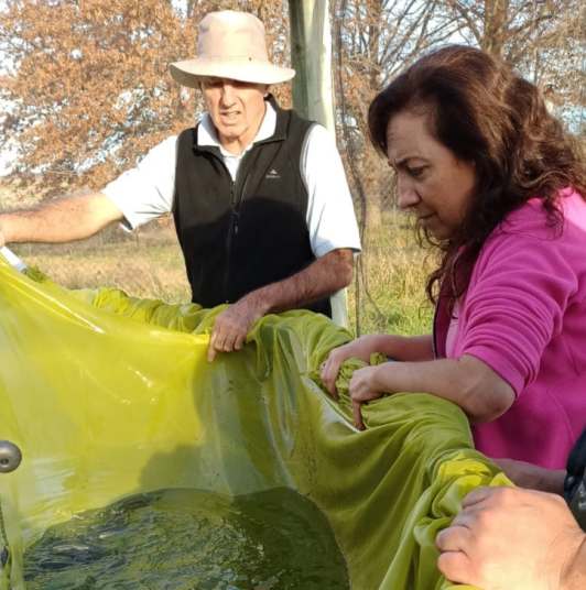 produccion estacion hidrobiologica 4