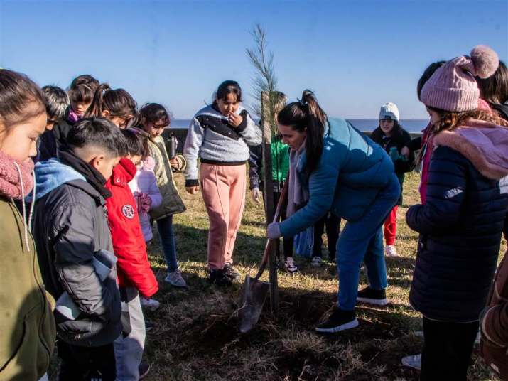 plantando valores casitas del saber 1