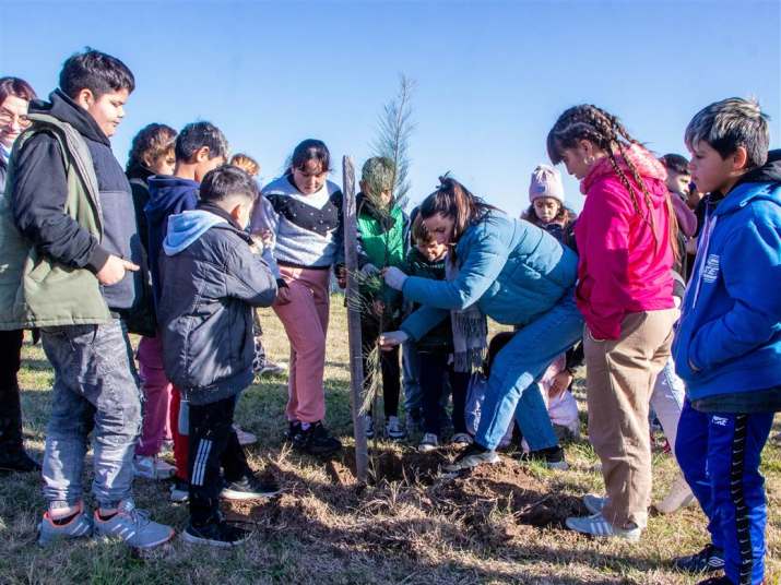plantando valores casitas del saber 2