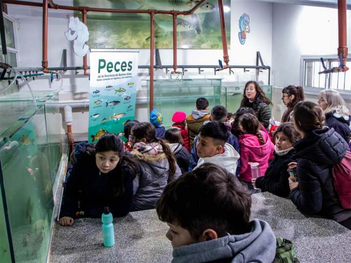 plantando valores casitas del saber 4