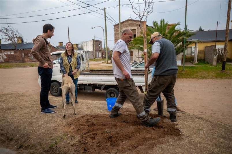 Forestación: Más de tres mil árboles nuevos se plantaron en Junín 2 ambiente plantando valores 2