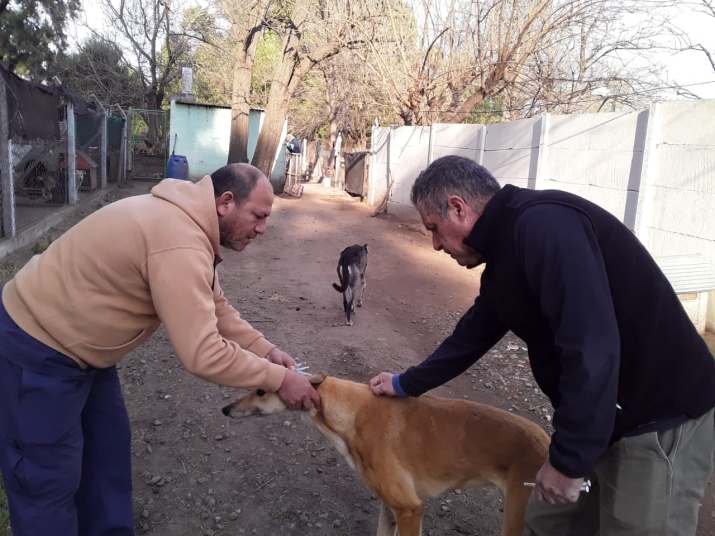 salud zoonosis vacunacion 3