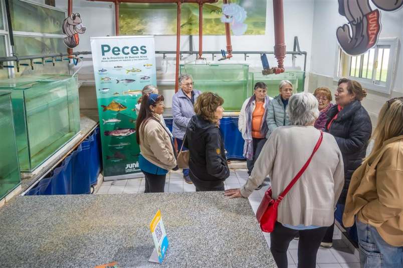 plantando valores adultos mayores recorrieron el pnlg 3