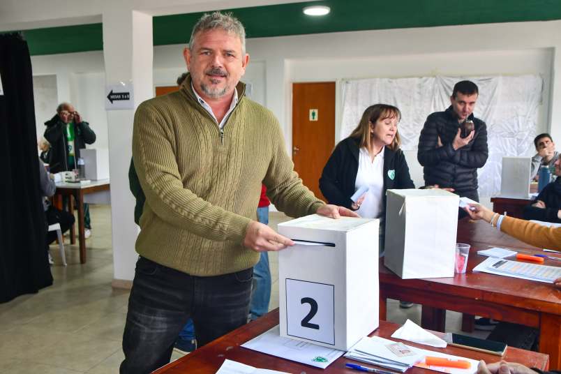 chiofalo votando
