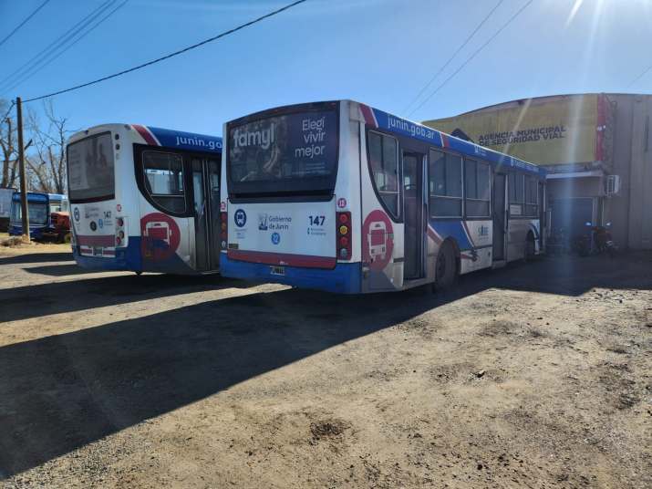 colectivos agosto 2024 3